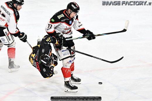 2025-02-08 Mastini Varese-Hockey Caldaro 1731 Gianluca Tilaro
